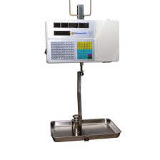 Підвісні ваги з друком етикетки ВТНЕ-ПРИНТ-15П-2